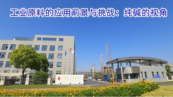 工业原料的应用前景与挑战：纯碱的视角