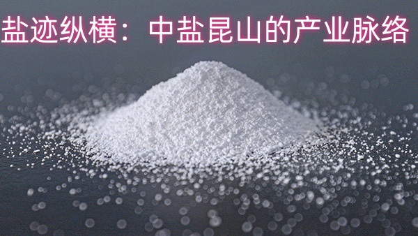 盐迹纵横：中盐昆山的产业脉络