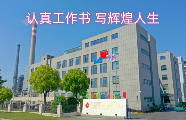 认真工作书 写辉煌人生