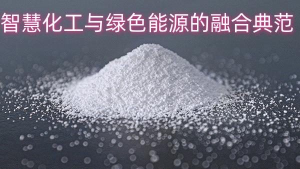 中盐昆山有限公司：智慧化工与绿色能源的融合典范