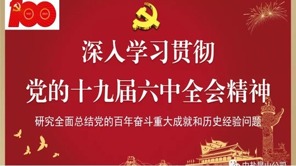 公司团员青年学习贯彻党的十九届六中全会精神