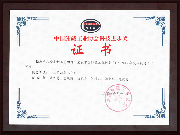 中国纯碱工业协会科技进步奖证书（轻灰产品冷却新工艺项目）