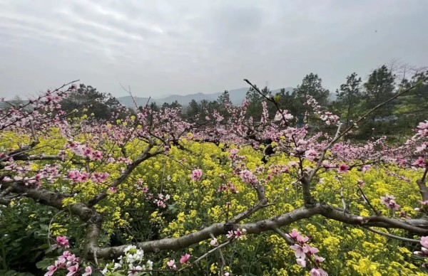 仙山湖