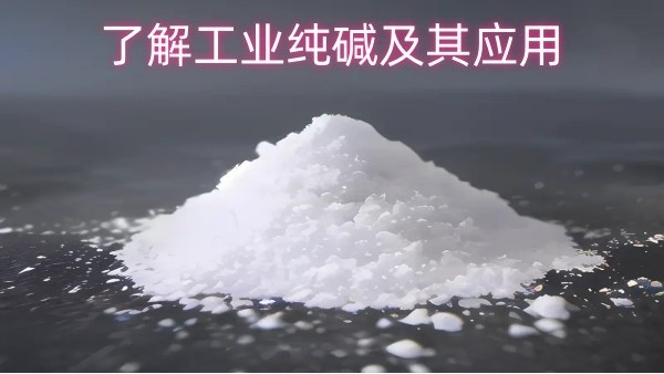 了解工业纯碱及其应用
