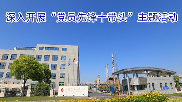 深入开展“党员先锋十带头”主题活动
