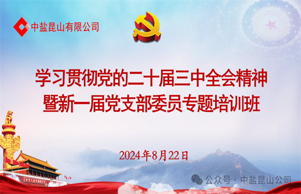 公司召开学习贯彻党的二十届三中全会精神暨新一届党支部委员专题培训会议