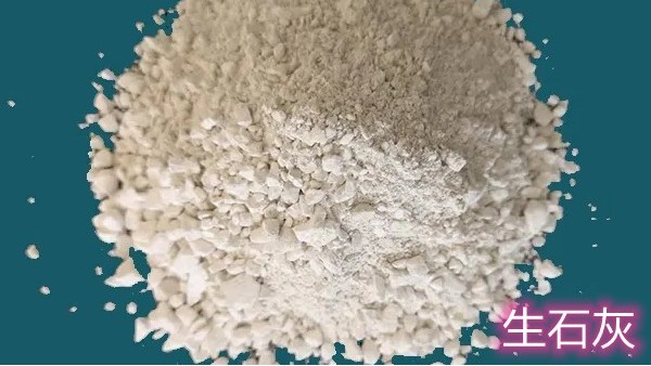 碳酸钠与生石灰的关系